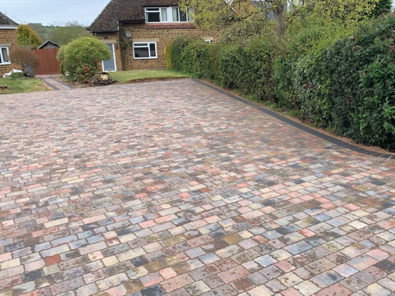 Tegula Farnham (3)