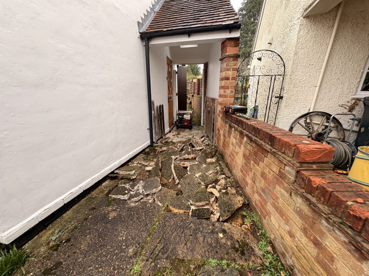 Project 20260224 102817